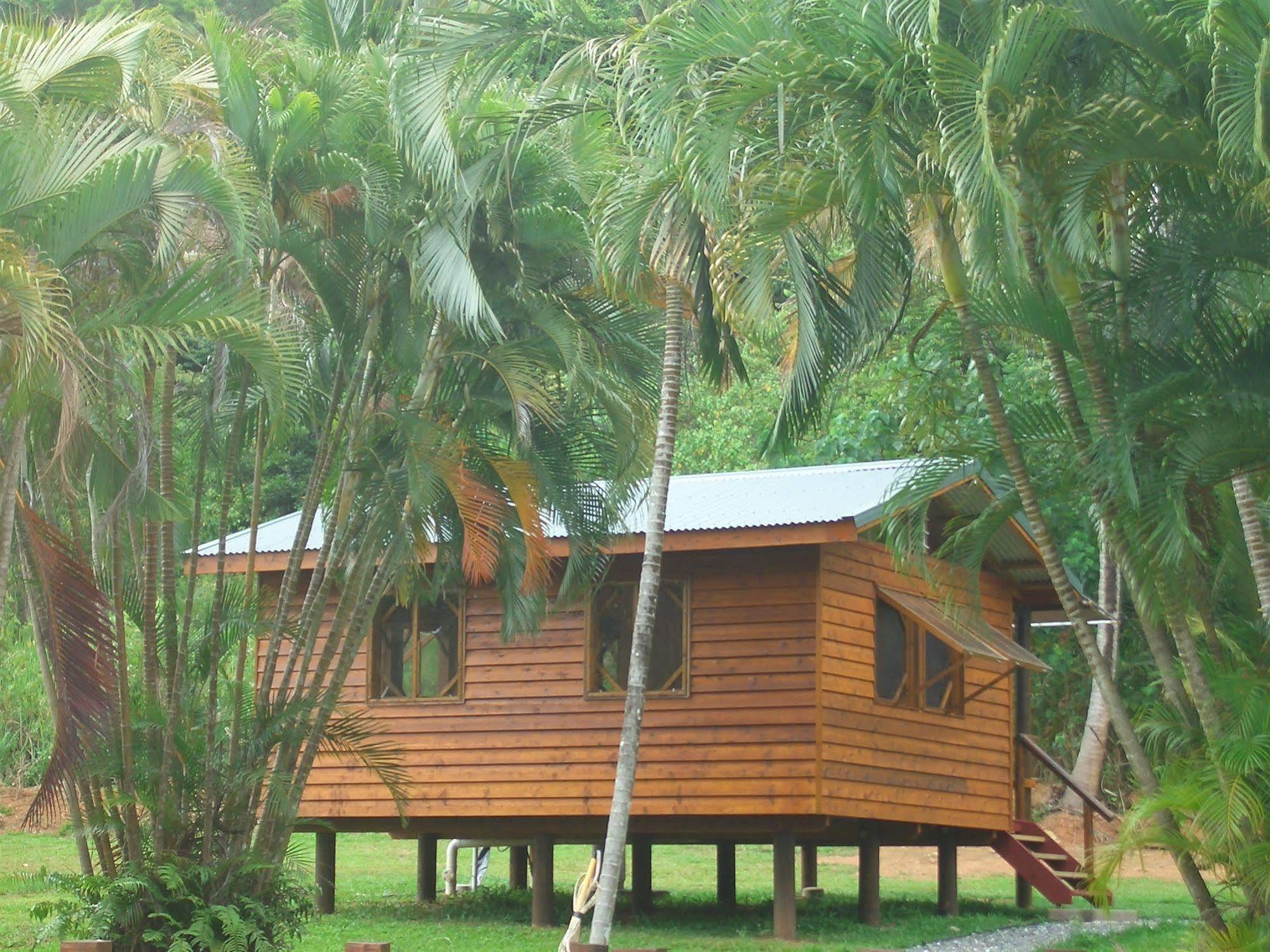 Daintree Rainforest Bungalows Vila Cow Bay Exterior foto