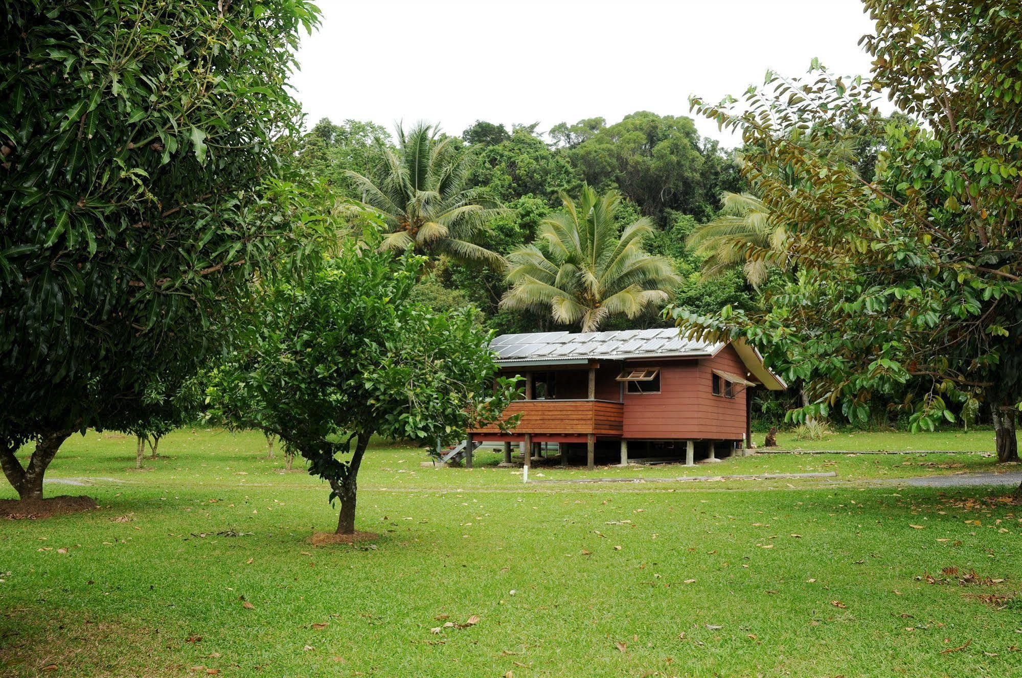 Daintree Rainforest Bungalows Vila Cow Bay Exterior foto